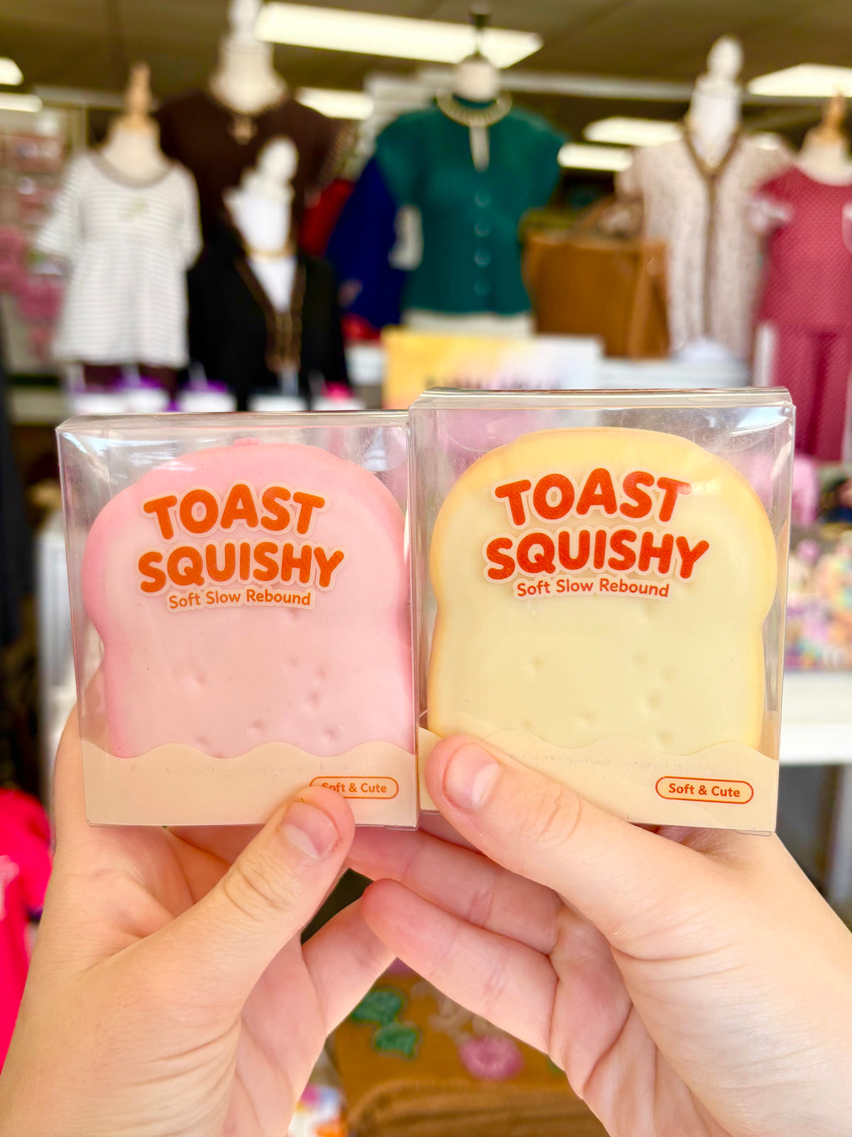KK Crunchy Toast Squishy
