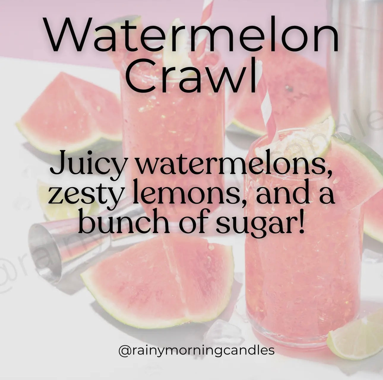 KK Watermelon Crawl | Summer Snap Bar Wax Melts