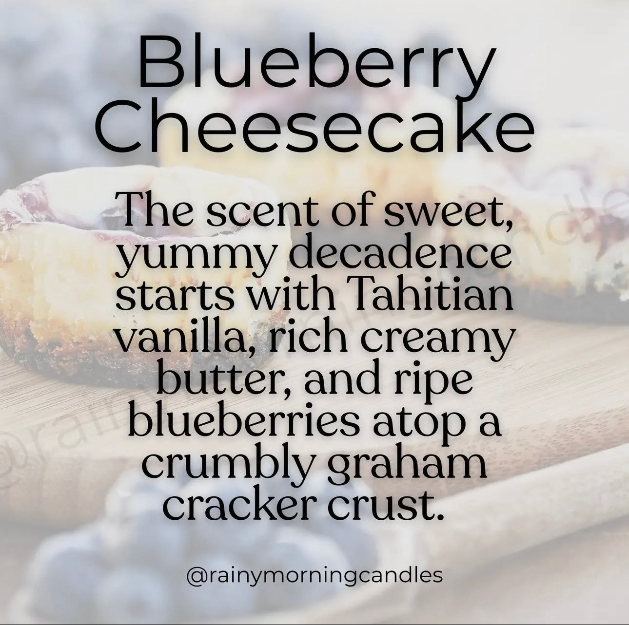 KK Blueberry Cheesecake Snap Bar Wax Melts