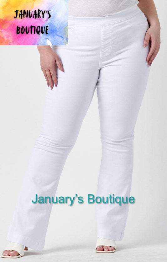 Women's Cello White Plus 33" Inseam Flare Jegging