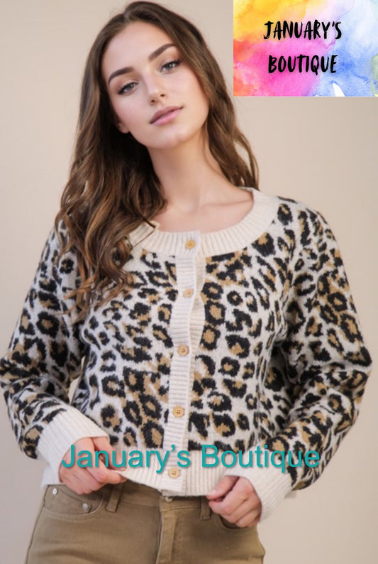 Women’s Leopard Print Cardigan