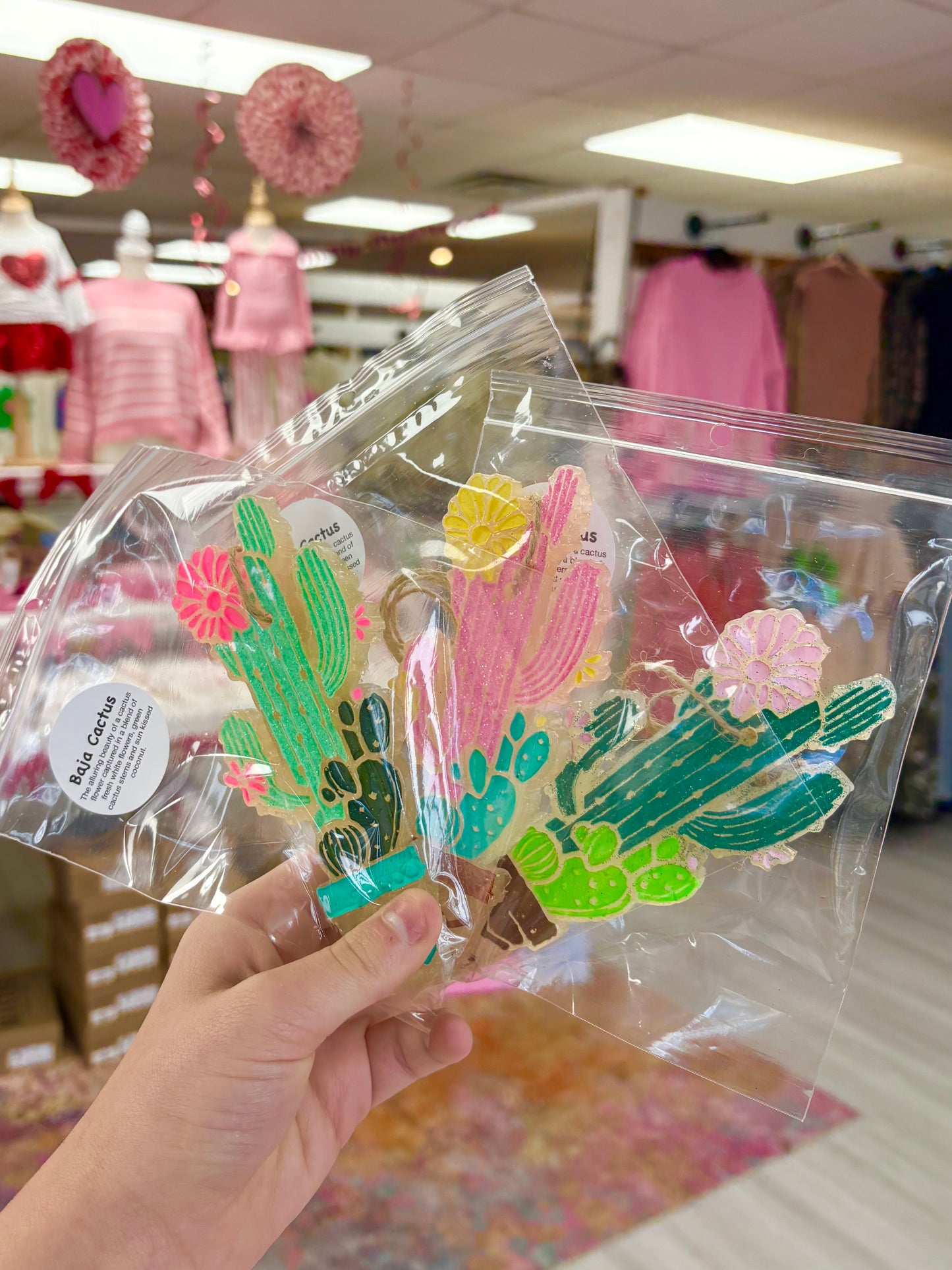 KK Cactus In A Pot Car Freshie(Baja Cactus)