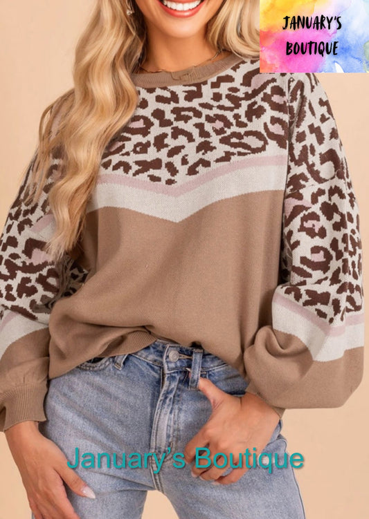 Women’s Leopard Color Block Sweater