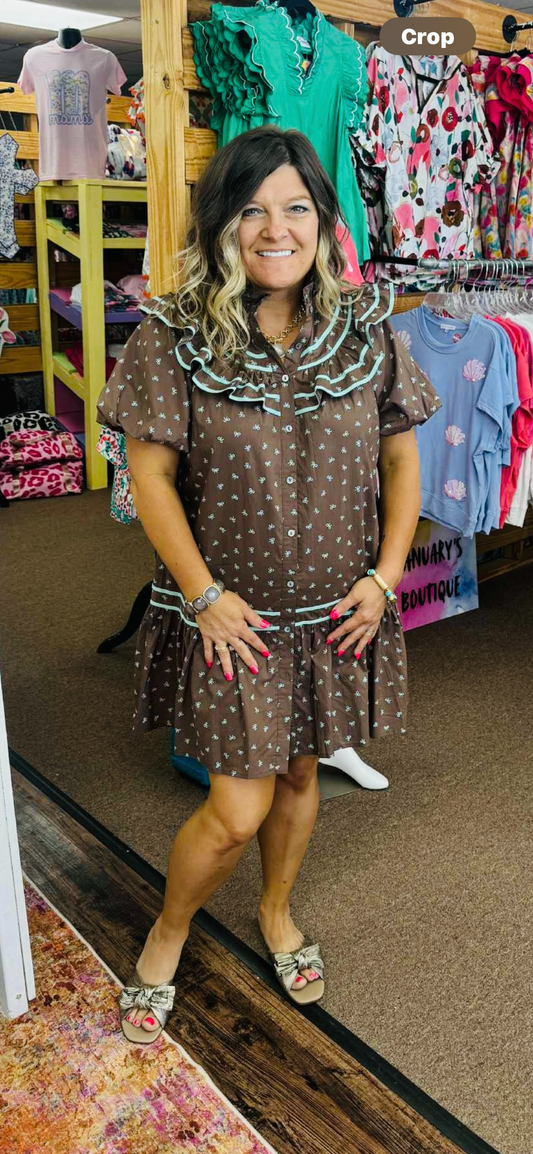 SC Women’s Entró Brown and Blue Bow Dress